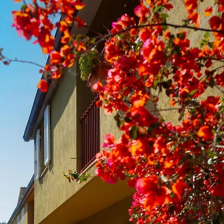 Apartamento Il Mare E La Portoferraio